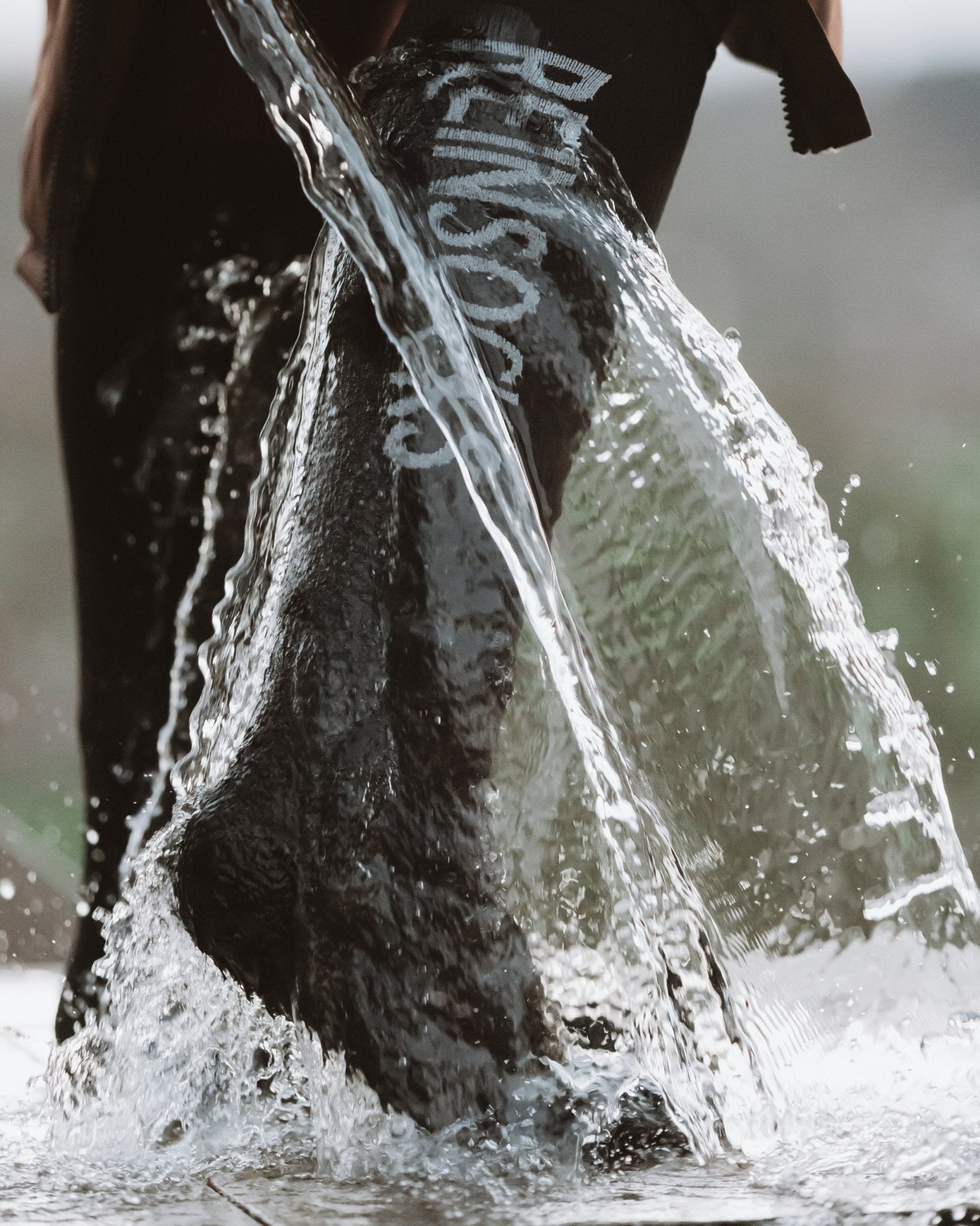 Reinsocks - Black - Reincoat