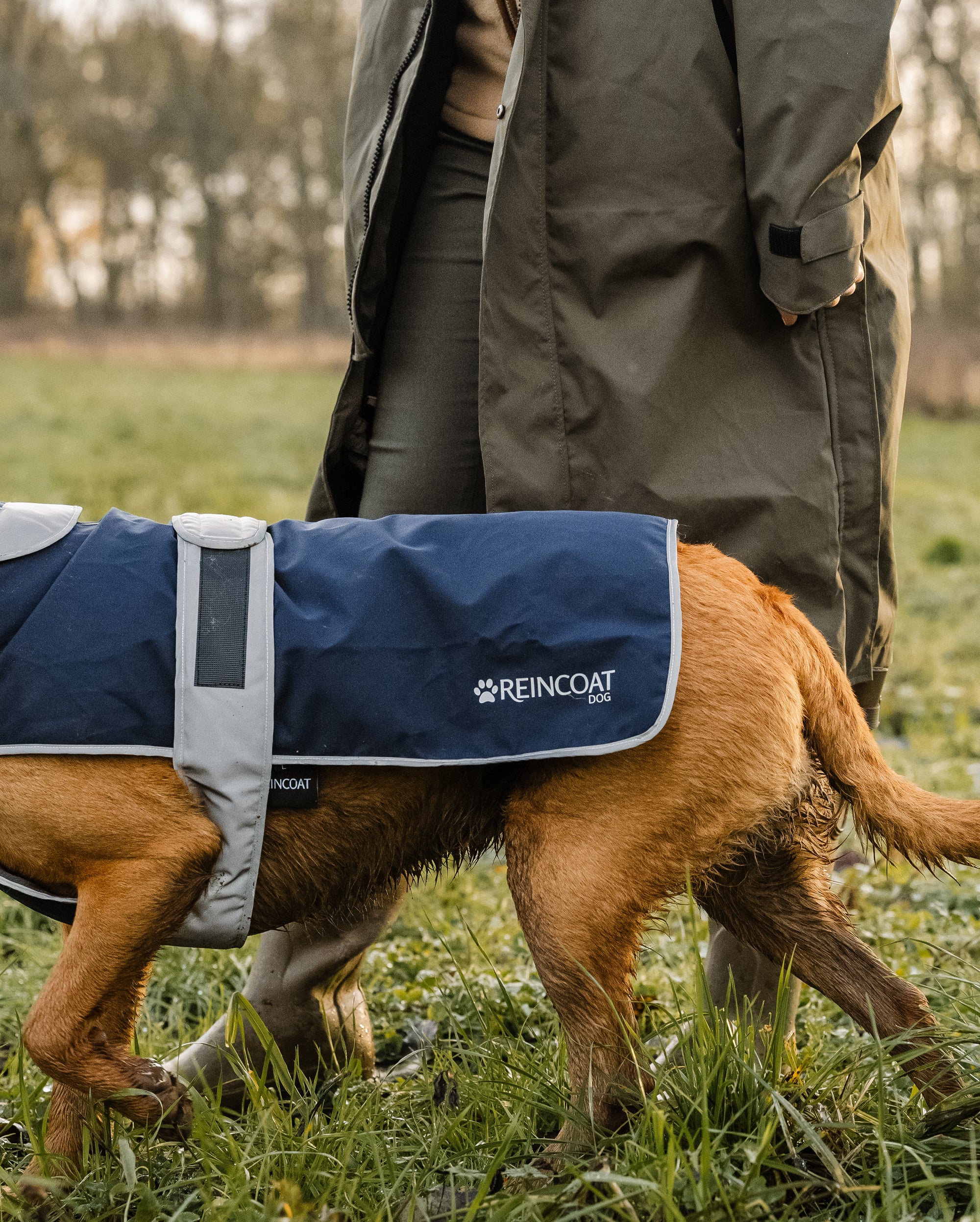 Reincoat für Hunde - Marineblau