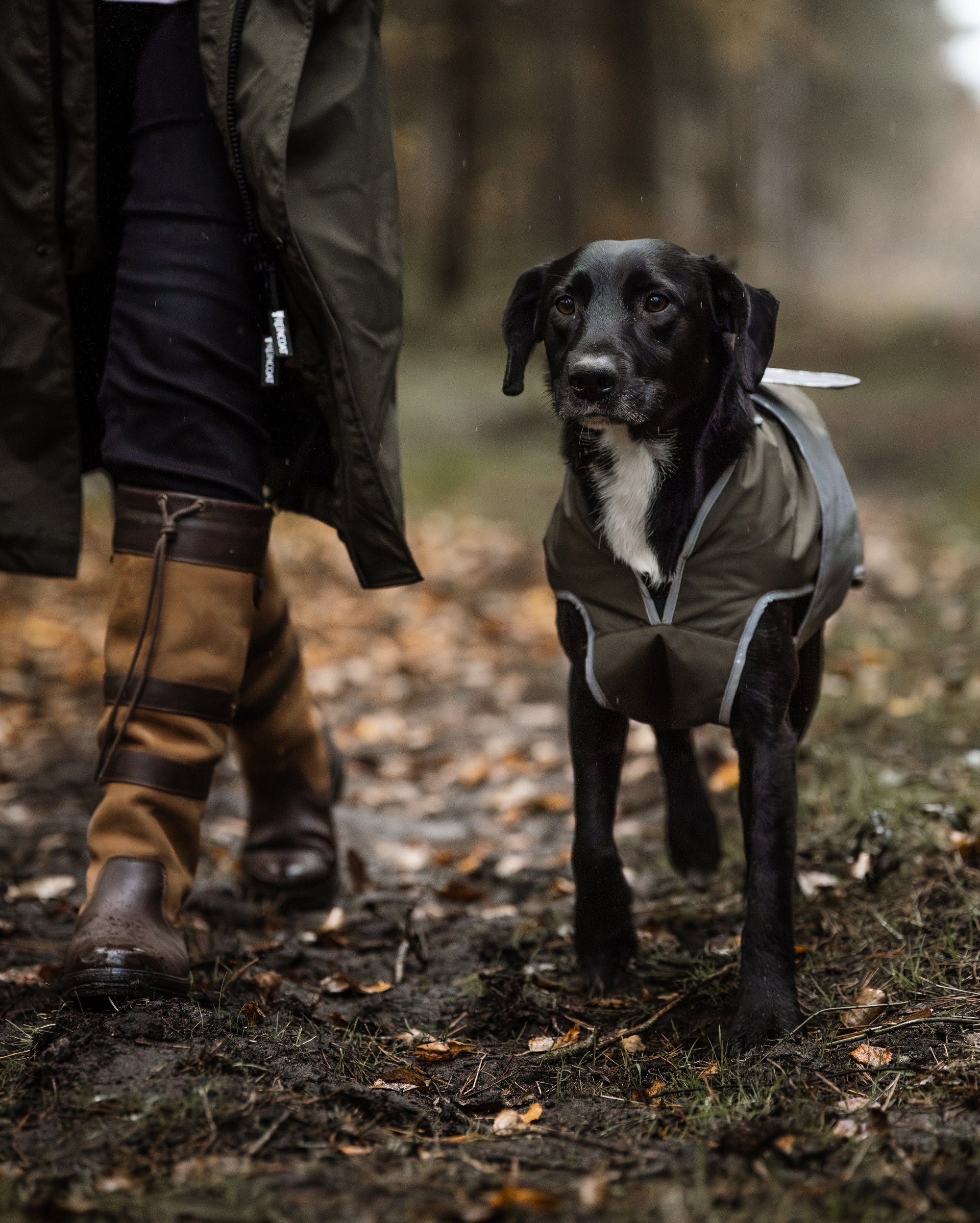 Reincoat Hund - Oliv